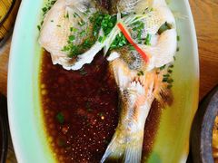 -新白鹿餐厅(城西银泰城店)