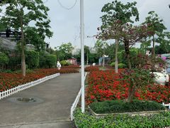 -广东花都香草世界旅游度假区