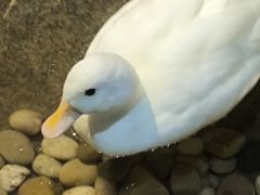 -苏州海洋馆