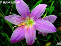 -石燕湖生态旅游景区