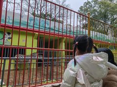 -荆州中山公园动物园