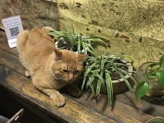 -老宅原住民沙茶面精品小吃(龙头路店)