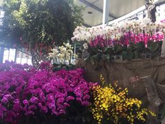 -南通洲际绿博园