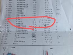 -喵百万·布偶·蓝金金渐层英短·猫舍(百子湾店)