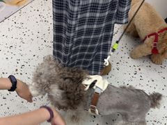 -瑞派康怡24h宠物医院·犬猫医疗中心·微创绝育(瑞景分院)