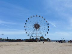 -奉贤海滩