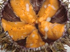 -海胆小馆(东北水饺·春柳店)