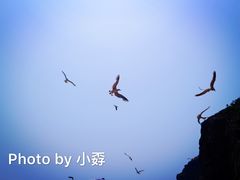 -海驴岛(荣成市)