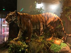 -陕西自然博物馆