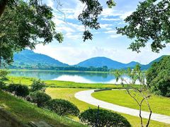 -风云岭森林公园