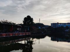 -荔枝红五号农庄