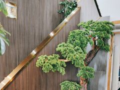 -野菌皇海景野生菌火锅(滨海大道店)
