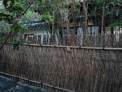 -静安公园(静安寺街道)
