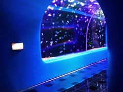 -欢乐海岸海洋奇梦馆