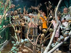 -Zoolung Zoolung动物主题公园(海信广场店)