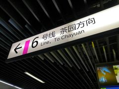 -大龙山(地铁站)