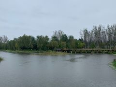 -东郊湿地公园