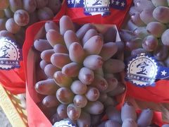 -马陆小张葡萄园农家乐