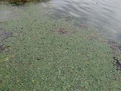 -苏州东太湖生态园