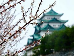 -名古屋城
