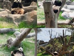 -宁波野生动物园