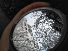 -武汉大学-樱园