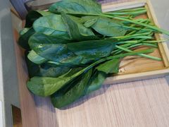 -蝎王府羊蝎子(西直门店)