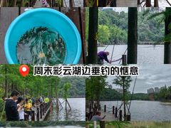 -重庆彩云湖湿地公园