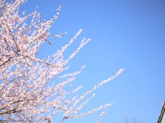 -三里河公园