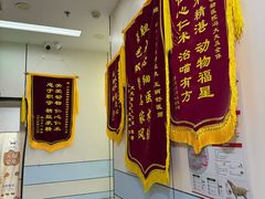 -中农国际动物医院24小时·猫科·骨科·急重症中心