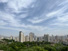 -兰山公园