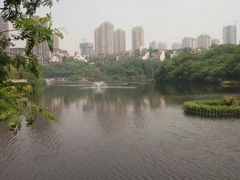 -重庆彩云湖湿地公园