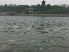 -汉江公园