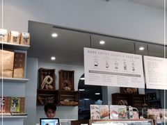 -WHEN PIGS FLY当猪飞