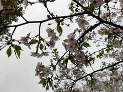 -黄兴公园