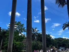 -中国科学院西双版纳热带植物园