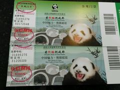 -成都大熊猫繁育研究基地