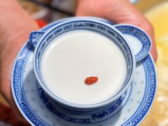 -禄婶鸡煲·打边炉