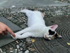 -恭王府博物馆