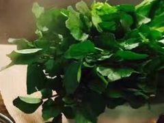 蓬蒿-金海阁海鲜火锅