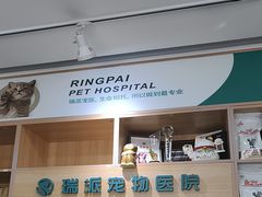 -瑞派长江宠物医院·猫科·外科·24小时夜护(谊城公寓分院)
