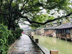 -乌镇景区