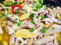 鲜嫩泡姜鸡-陈三娃泡姜鸡(太白北路店)