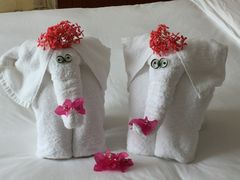 -三亚亚龙湾雅高铂尔曼别墅度假酒店