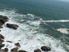 -广东惠东海龟国家级自然保护区