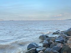 -上海吴淞炮台湾国家湿地公园