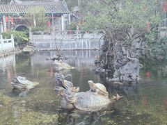 -国恩寺