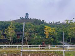 -莫干山风景区