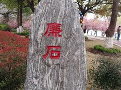 -高东镇樱花园