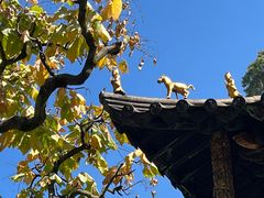 -昆明市金殿名胜区